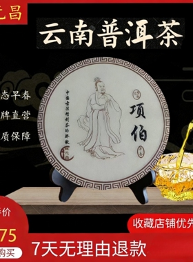 云南普洱茶恒元昌2023年项伯生态早春