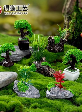 2026微景观创意盆栽迎客松小盆景diy园艺生态瓶装饰品配件桌面小