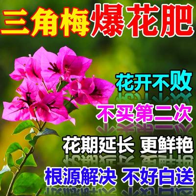 三角梅开花专用肥促花养花家用花多多2号磷酸二氢钾肥料花卉专用