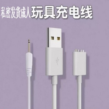 适用羞羞哒磁吸USB充电线数据线配件 隐形阴罩点潮笔吮潮糯糯PRO女性按摩棒充电器大象紫潮针式震动棒