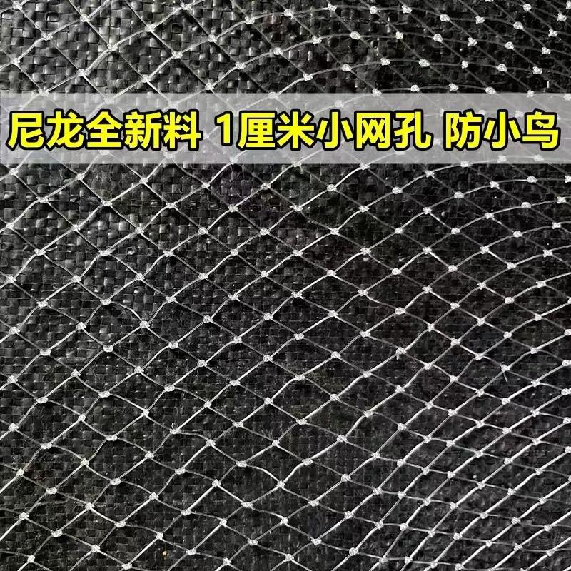 果树防鸟网果园天网尼龙网农用防鸟丝网樱桃嘉宝果蔬菜水果防护罩