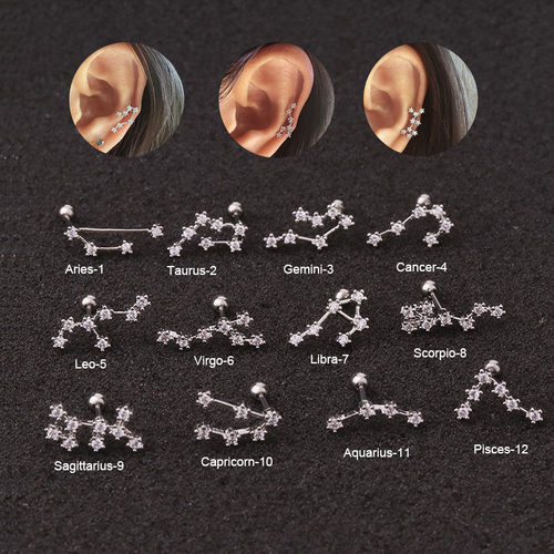 New Stainless Steel Twelve Constellation Ear Piercing
