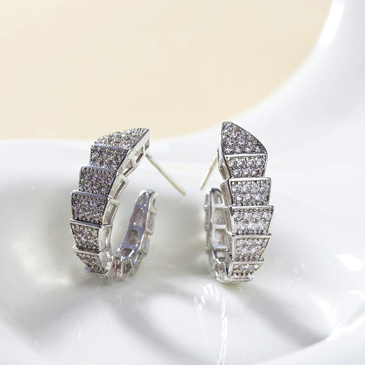 Silver Color Snake Earrings with Bling Zircon Stone for