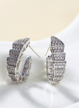 Silver Color Snake Earrings with Bling Zircon Stone for