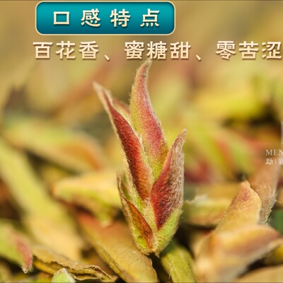 紫芽苞初芽永德大雪山千年古茶树花香蜜甜2025云南普洱生茶150g