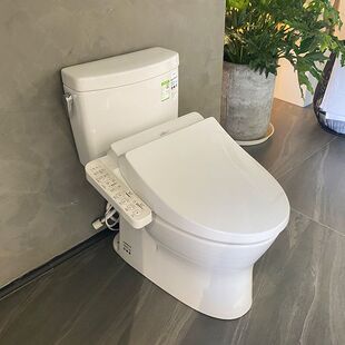 TOTO智能马桶CW830 TCF3B160加热温水洗净坐便器 SW830