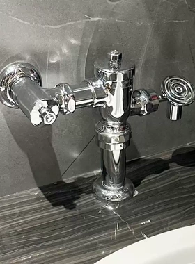 TOTO 蹲坑脚踏阀手按阀蹲便器冲水阀冲洗阀 DC603VLC/VLFC(11)