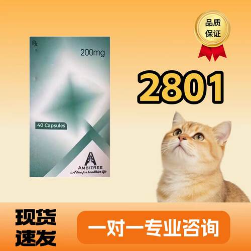 猫咪2801杯状口腔湿性干性大肚子绿色胶囊