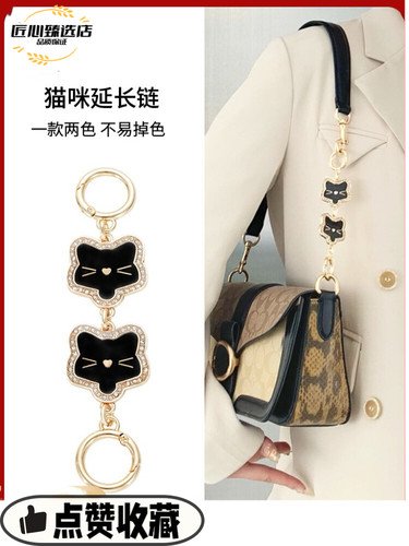 适用蔻驰Georgie酒神包小猫咪延长链腋下肩带加长链条装饰链配件