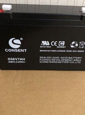 光盛CONSENT蓄电池 GS6V7AH(6M7LC/10Hr)玩具车6V童车电瓶原厂