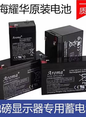 上海耀华XK3190-A12+E原装电池A9地磅电池12v7AH6v10AH电瓶6V4AH