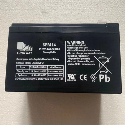 LONGWAY龙威6FM14(12V14AH/20HR)