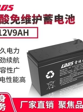 雷迪司UPS专用蓄电池12V9AH  用于更换内置UPS电池主机H1000M铅酸