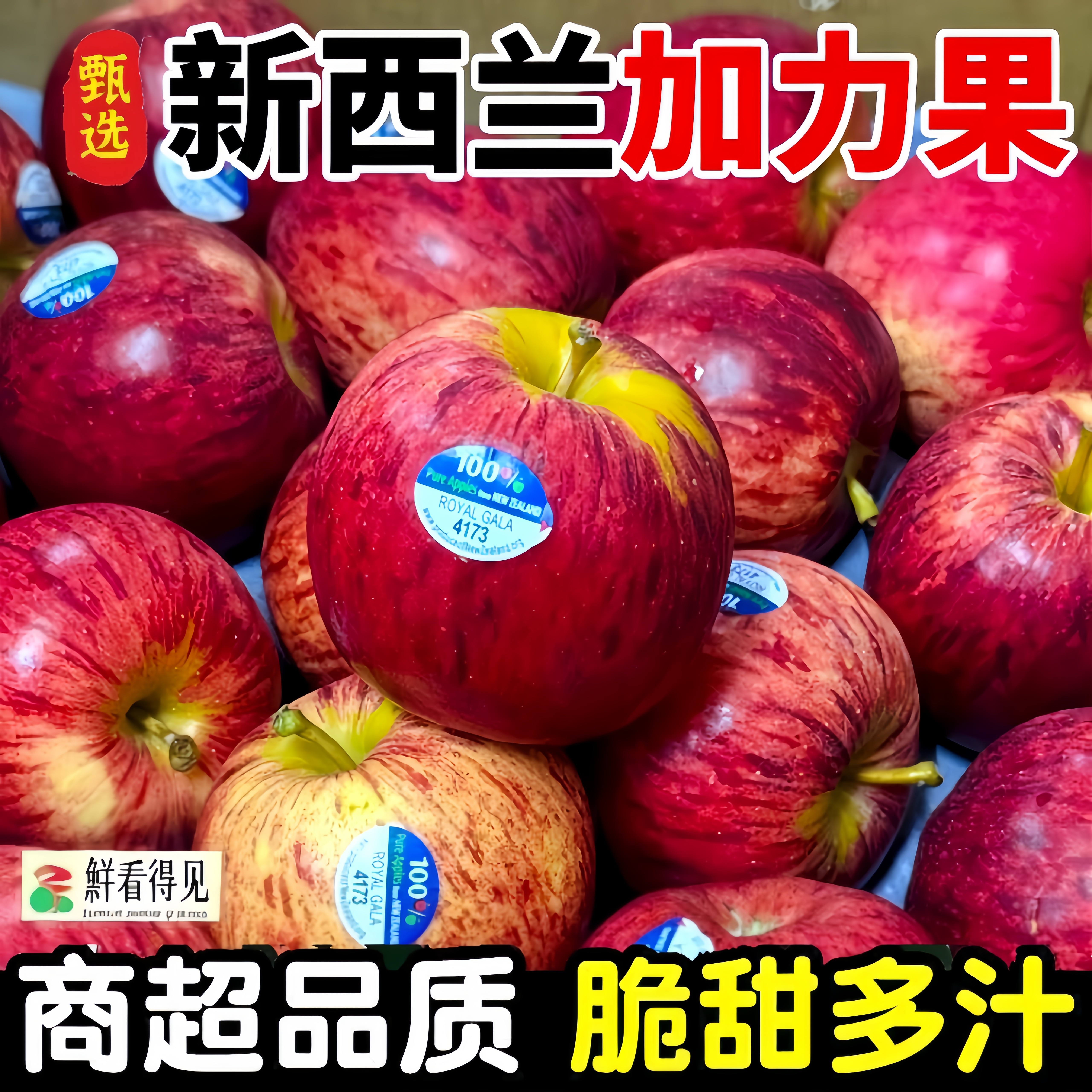 新西兰进口加力果新鲜苹果当季水果嘎啦果小红玫瑰包邮