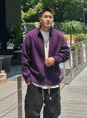 紫色拉链开衫毛衣男春秋外套2025新款早秋穿搭立领休闲针织衫线衣