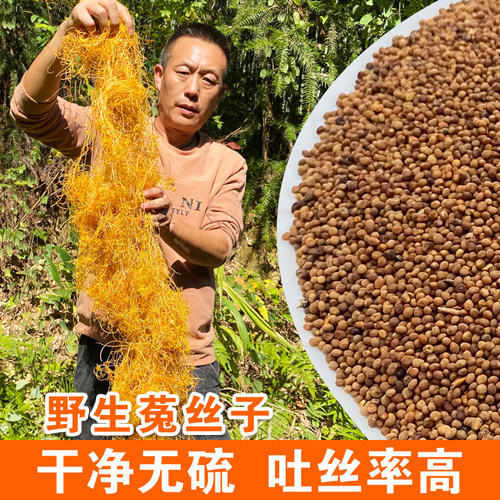 野生菟丝子中药材质优干净无硫