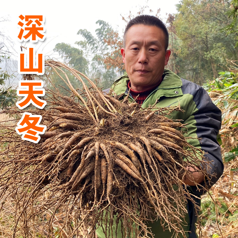 深山天冬中药材500g正品天门冬新鲜去皮天冬干货麦冬天冬茶泡酒料