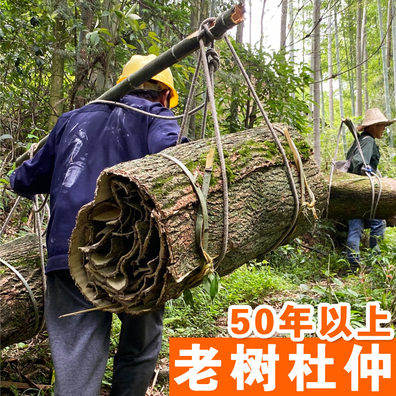 张家界深山杜仲中药材500g杜仲皮泡酒泡水喝去粗皮杜仲茶泡酒料