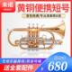 包邮 未诺 小号乐器 漆金B调专业管乐器乐器 短号乐器VCO E100
