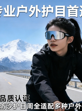 防雪盲症护目镜防风可戴眼镜