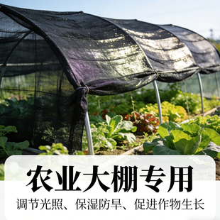 农业大棚专用遮阳网遮光率调节光照保湿防旱连栋大棚隔热网抗老化