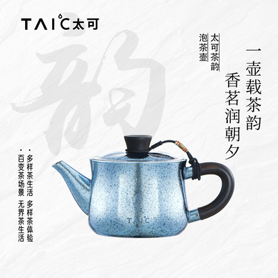 TAIC太可纯钛泡茶壶带过滤茶具