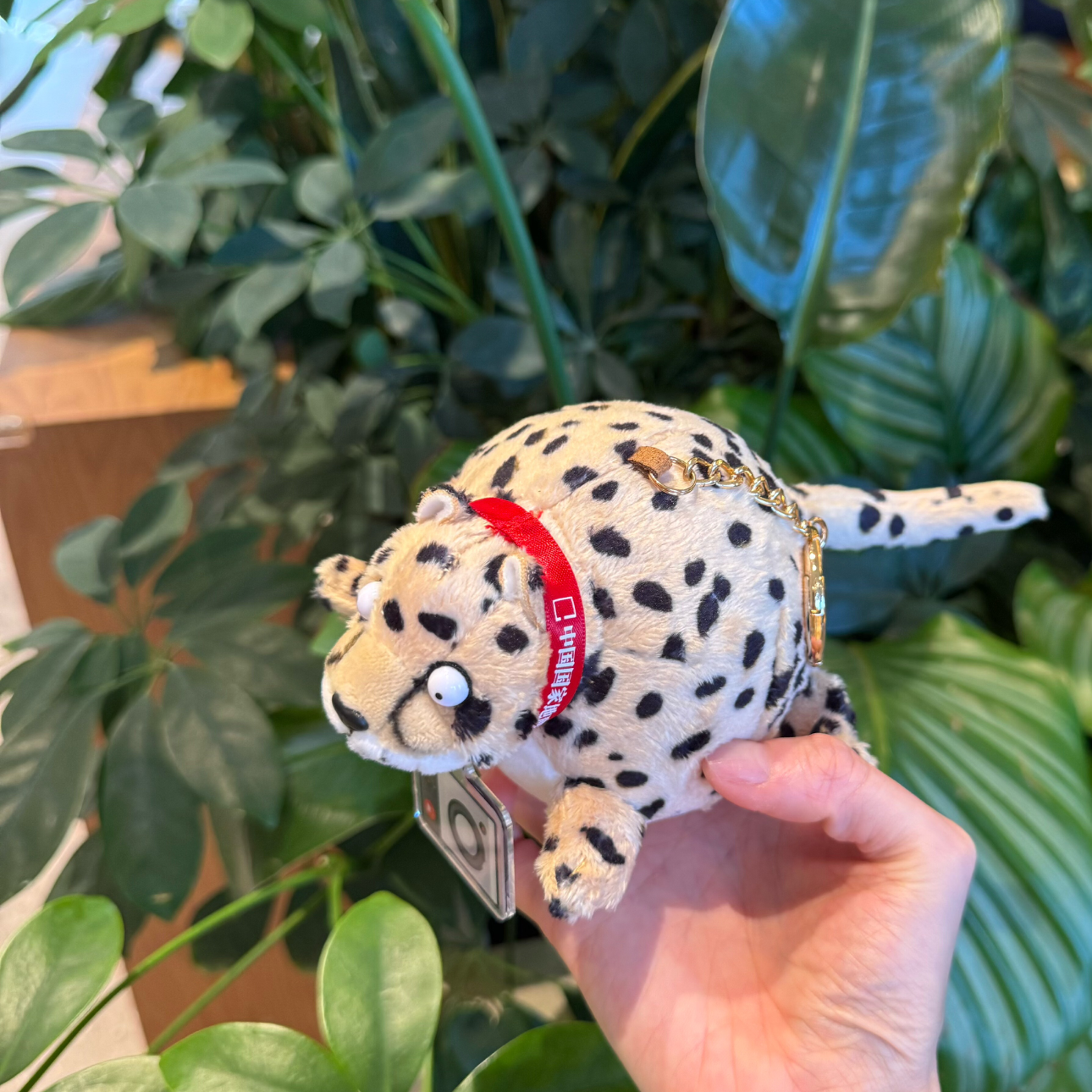 Rolin‘Wild中国国家地理正版玩偶 慢回弹解压捏捏玩具挂饰礼物