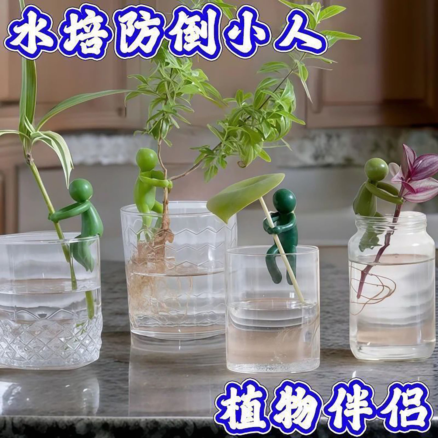 水培植物水培室内扶正支撑固定造型固定器办公室悬挂装饰园艺用品