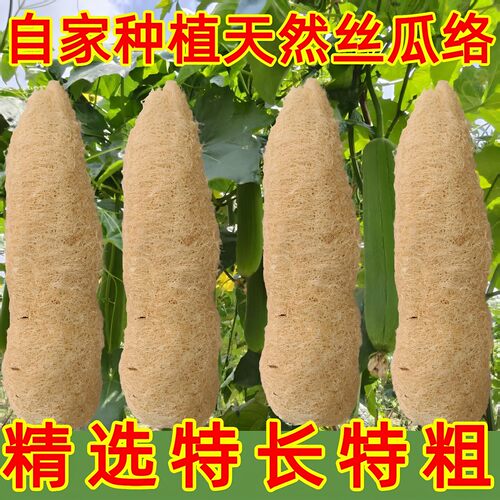 丝瓜络洗碗神器天然丝瓜瓤洗碗布