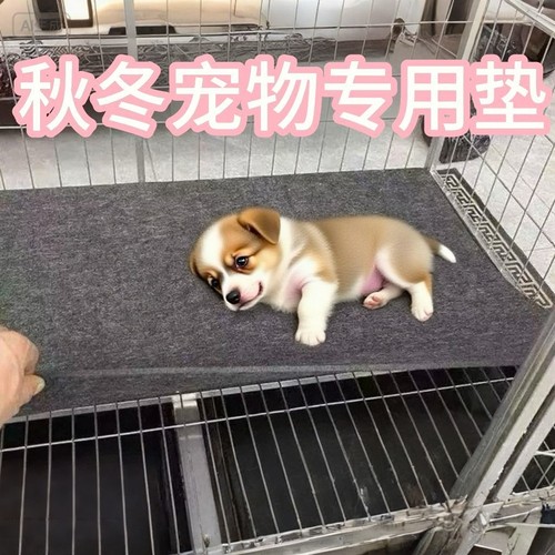 狗垫子耐磨耐抓四季通用加厚狗垫反复清洗狗狗睡觉垫保温垫防抓垫