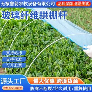 搭菜棚架子 玻璃纤维拱棚支架农用菜地小拱棚杆大棚支架拱杆地膜