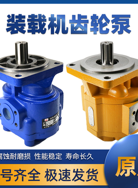 明宇装载机原厂配件铲车全液压行走泵CBFC25鲁工高压泵2080齿轮泵