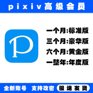 pixiv 高级会员 p站 代充 二次元插画图片