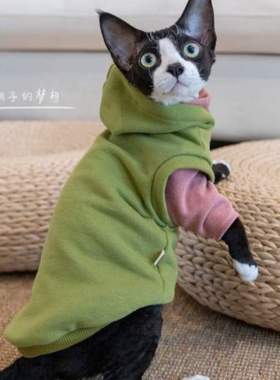 衣服两件套斯芬克斯卫衣德文毛猫连帽衣服GINGE猫无