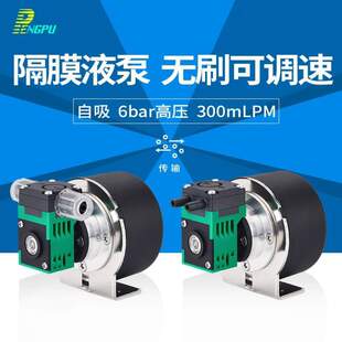 微高压水泵12V电动液泵可隔膜泵气液两用小型无刷电机24V调速自吸