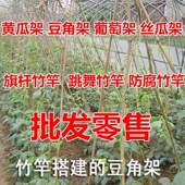 小园黄瓜藤架架子庭院家用竹子豆角蔬菜细竹竿菜园竹杆爬搭架番茄
