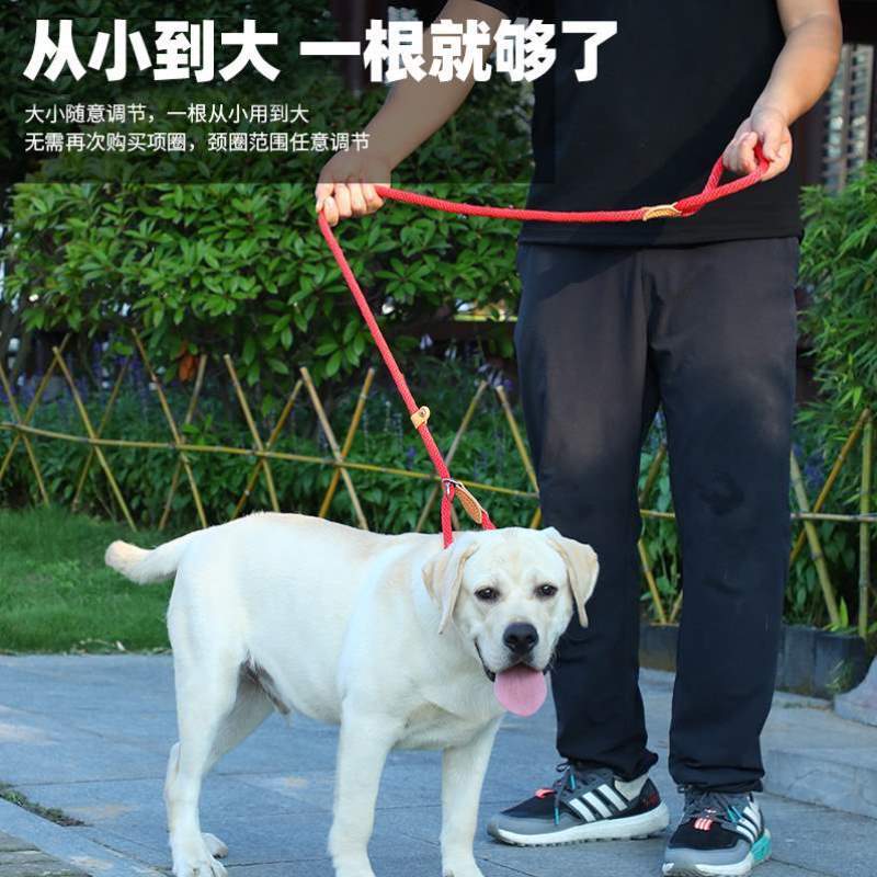 牵引绳金毛狗牵应大型犬狗狗带链狗绳p绳小中链遛狗拴猫绳子牵狗