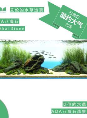 水草鱼缸造景淡水石头ADA的水草素材艾伦海石八草缸造景造景