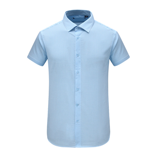棉百搭商务休闲上衣 F3455鸟夏季 衬衫 短袖 蓝格 男式