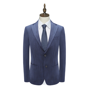 B1620鸟男式春秋西服 两粒扣后中开衩商务西装 213202