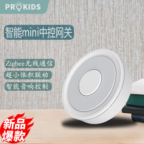 波菲凯迪智能mini有线网关多功能