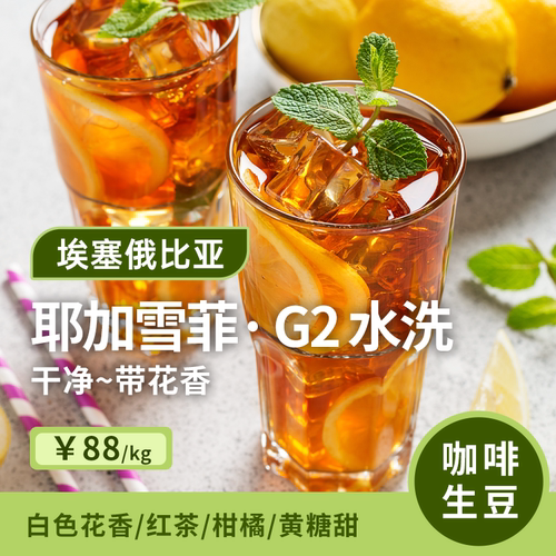 【26产季】耶加雪菲水洗G2 印格埃塞俄比亚进口咖啡生豆1KG