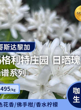 【25产季】哥斯达黎加玛格利特庄园·日晒瑰夏 印格咖啡生豆1KG
