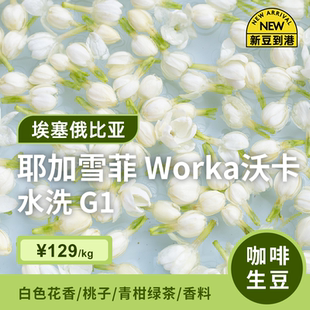 【26产季】Worka沃卡.水洗G1 印格埃塞俄比亚耶加雪菲咖啡生豆1KG