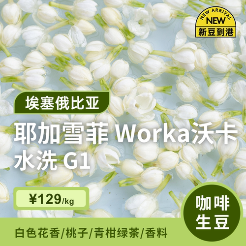 埃塞俄比亚水洗g1印格咖啡生豆