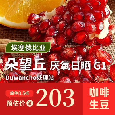 【25产季】Aklilu阿奇努.朵望丘厌氧日晒  印格埃塞西达摩生豆1KG