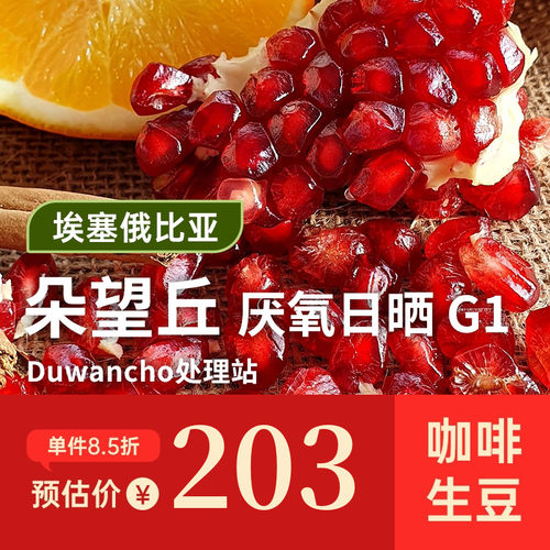 【25产季】Aklilu阿奇努.朵望丘厌氧日晒  印格埃塞西达摩生豆1KG