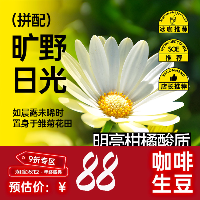 印格 旷野日光 清新小雏菊柑橘酸意式拼配美式奶咖咖啡生豆1KG