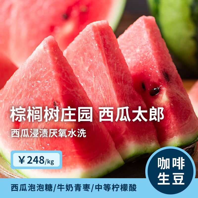 【25产季】棕榈树庄园西瓜太郎 印格哥伦比亚水洗咖啡生豆1KG