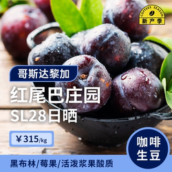【26产季】红尾巴庄园·SL28日晒 哥斯达黎加咖啡豆印格咖啡生豆